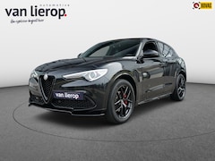 Alfa Romeo Stelvio - 2.0 T AWD Veloce 2021 280 PK | TREKHAAK