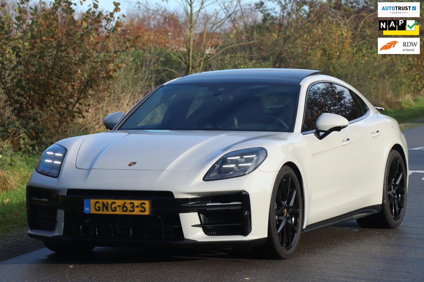 Porsche Panamera - 2.9 4 E-Hybrid | Pano | VOL! - AutoWereld.nl