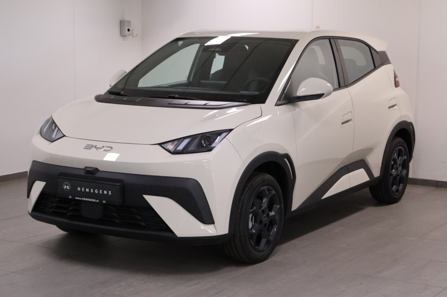 BYD Dolphin Surf - Boost 43 kWh Boost 43 kWh - AutoWereld.nl