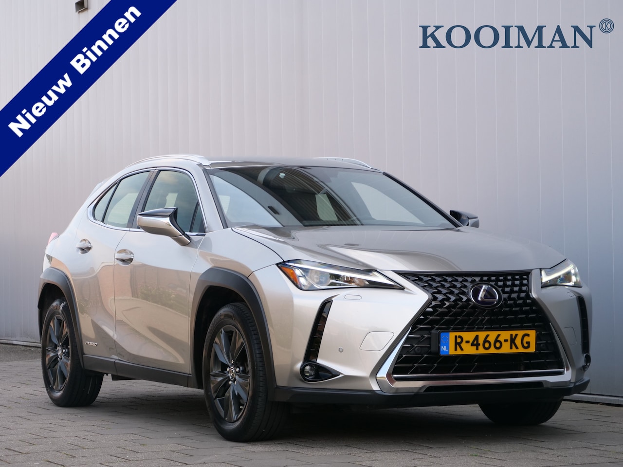 Lexus UX - 250h Business Line 262Pk Winterpakket / Camera / Carplay / Adaptive Cruise - AutoWereld.nl