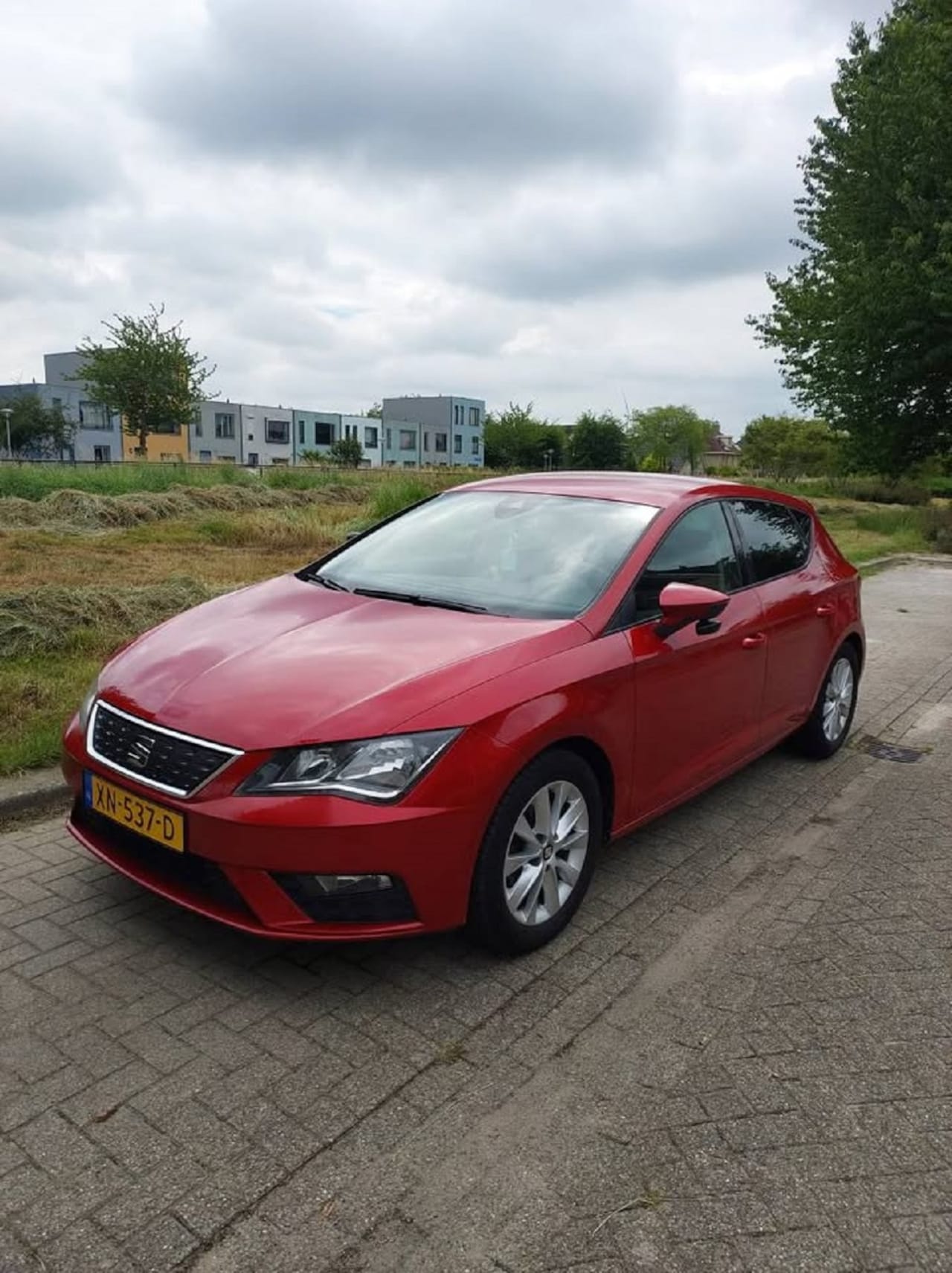 SEAT Leon - 1.0 EcoTSI Style Business Intense - AutoWereld.nl