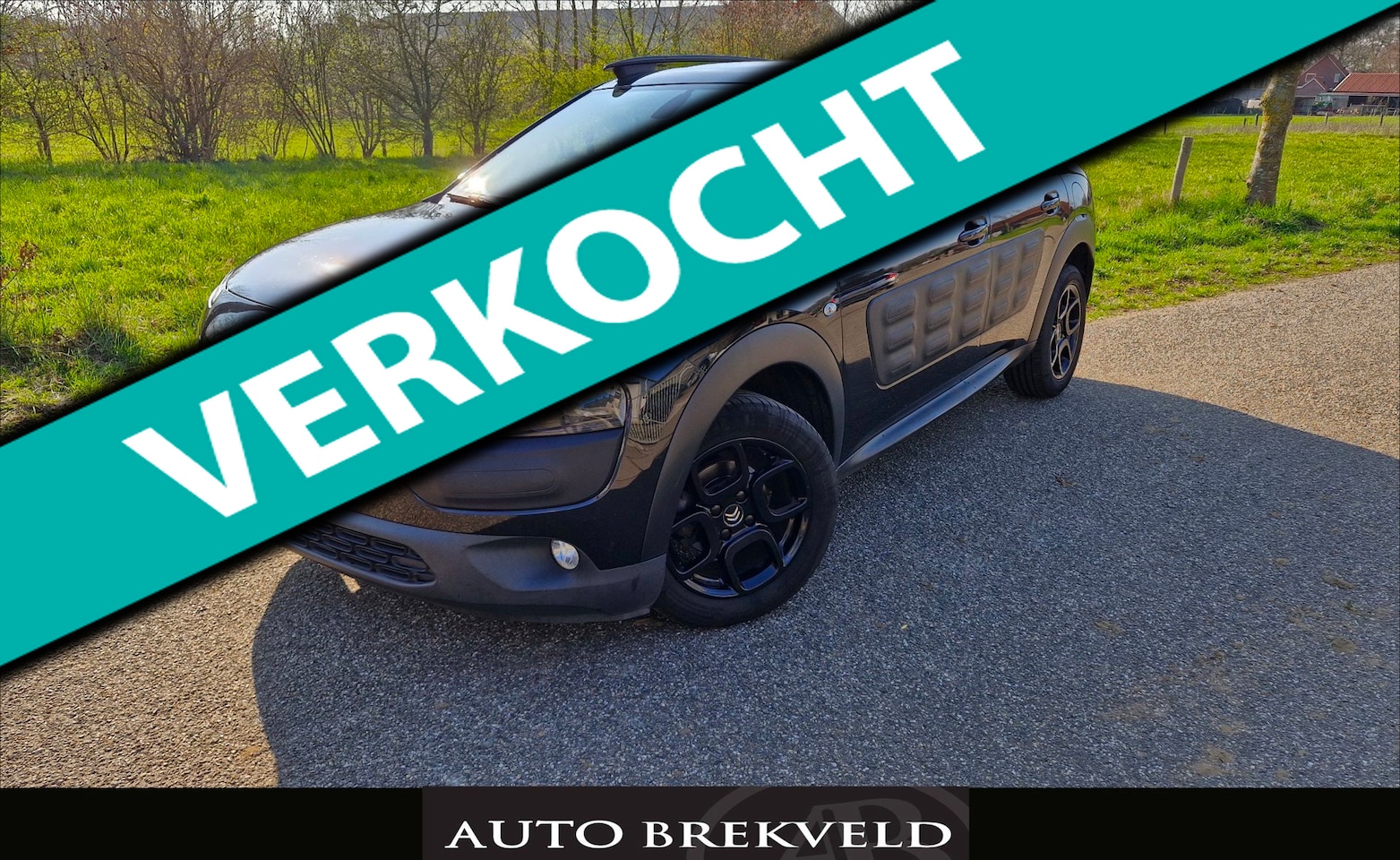 Citroën C4 Cactus - 1.2 PureTech Shine 110PK | Rijklaarprijs | Camera | Clima | Pano | LMV | Navi | NAP - AutoWereld.nl