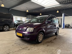 Fiat Panda - 1.2 Edizione Cool NAP
