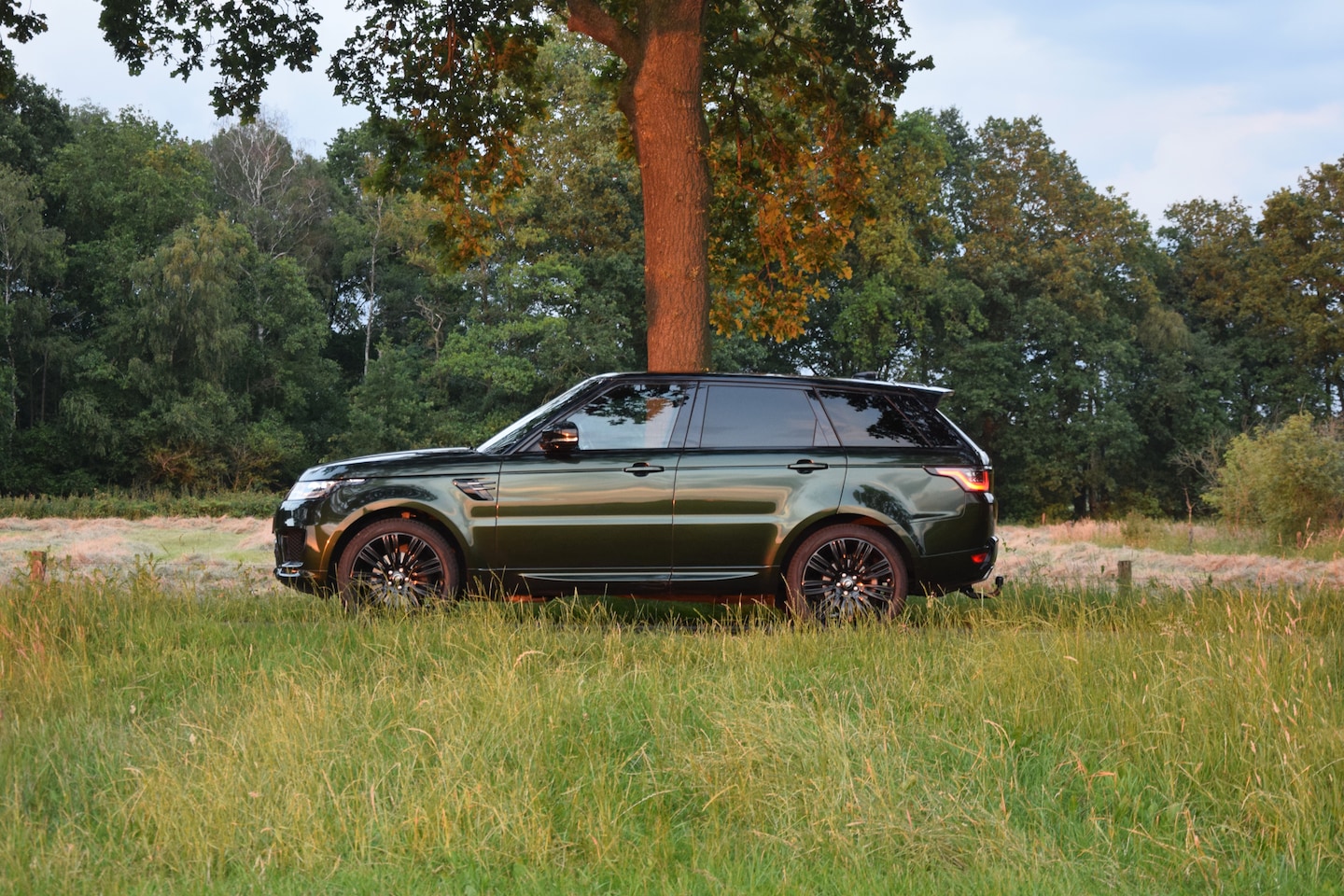 Land Rover Range Rover Sport - 3.0 SDV6 SE Deep Emerald Green – 191.101km – 2018 - AutoWereld.nl
