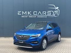 Opel Grandland X - 1.2 Turbo Business Executive Full Option - Automaat - St verw. en Koeling - Keyless - Lede