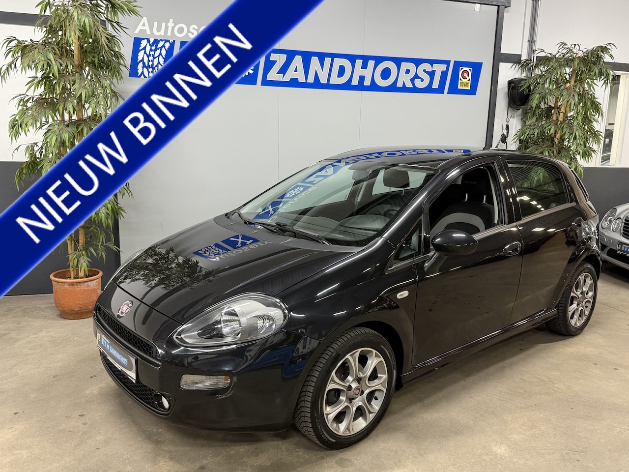 Fiat Punto Evo - 0.9 TwinAir Easy // Airco // El. ramen // APK tot 06-11-2026!!! - AutoWereld.nl