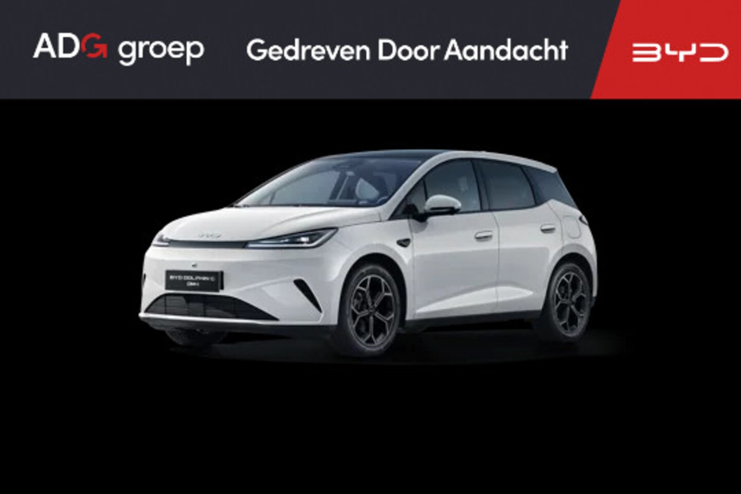 BYD Dolphin - G DM-i Comfort NIEUW/ 1040 KM / Skiing White / 105 EV / 360°-camera / HUD / - AutoWereld.nl