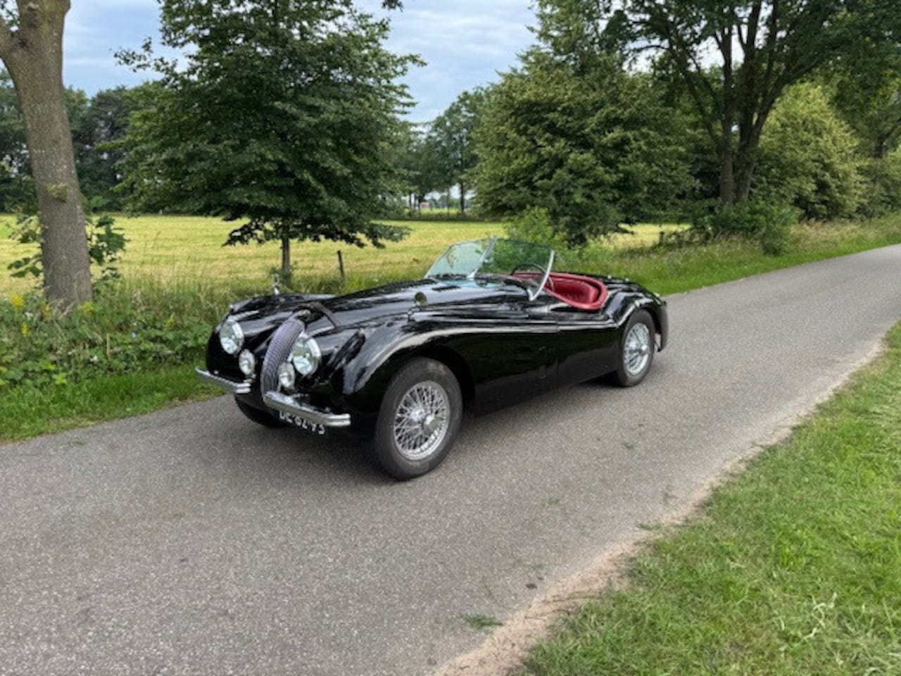 Jaguar XK - 120 OTS 3.4 Litre 1953 - AutoWereld.nl