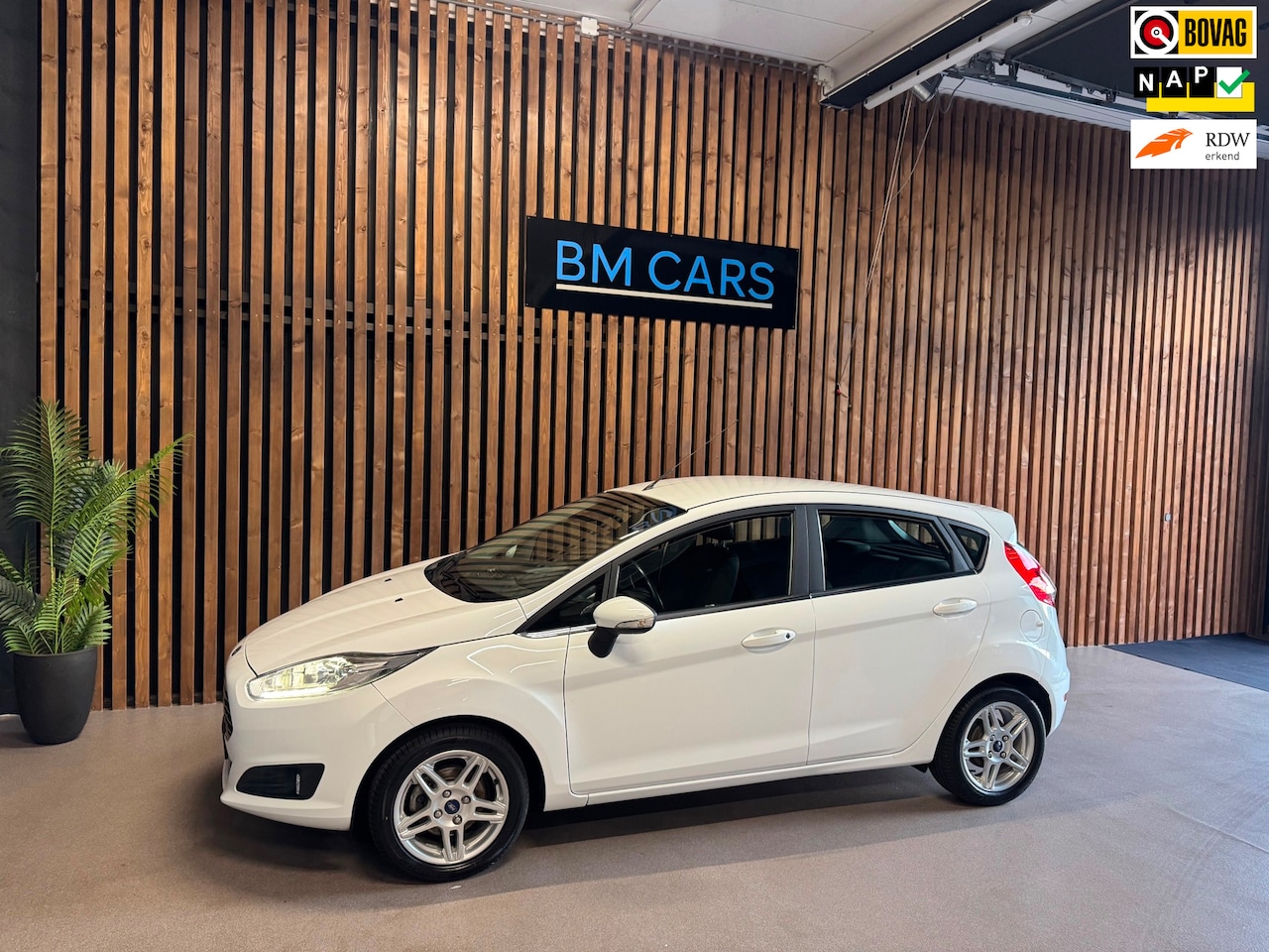 Ford Fiesta - 1.0 EcoBoost Titanium Clima,Cruise,Led,Navi,Pdc - AutoWereld.nl