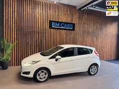 Ford Fiesta - 1.0 EcoBoost Titanium Clima, Cruise, Led, Navi, Pdc