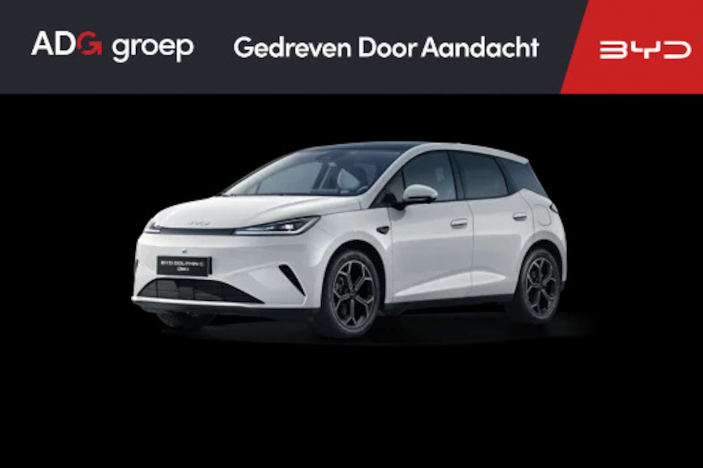 BYD Dolphin - G DM-i Comfort NIEUW/ 1040 KM / Skiing White / 105 EV / 360°-camera / HUD / - AutoWereld.nl