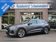 Audi e-tron - 55 quattro S Line 95 kWh 360-CAMERA LEER/ALCANTARA TREKHAAK-AFN VIRTUAL-COCKPIT LUCHTVERIN