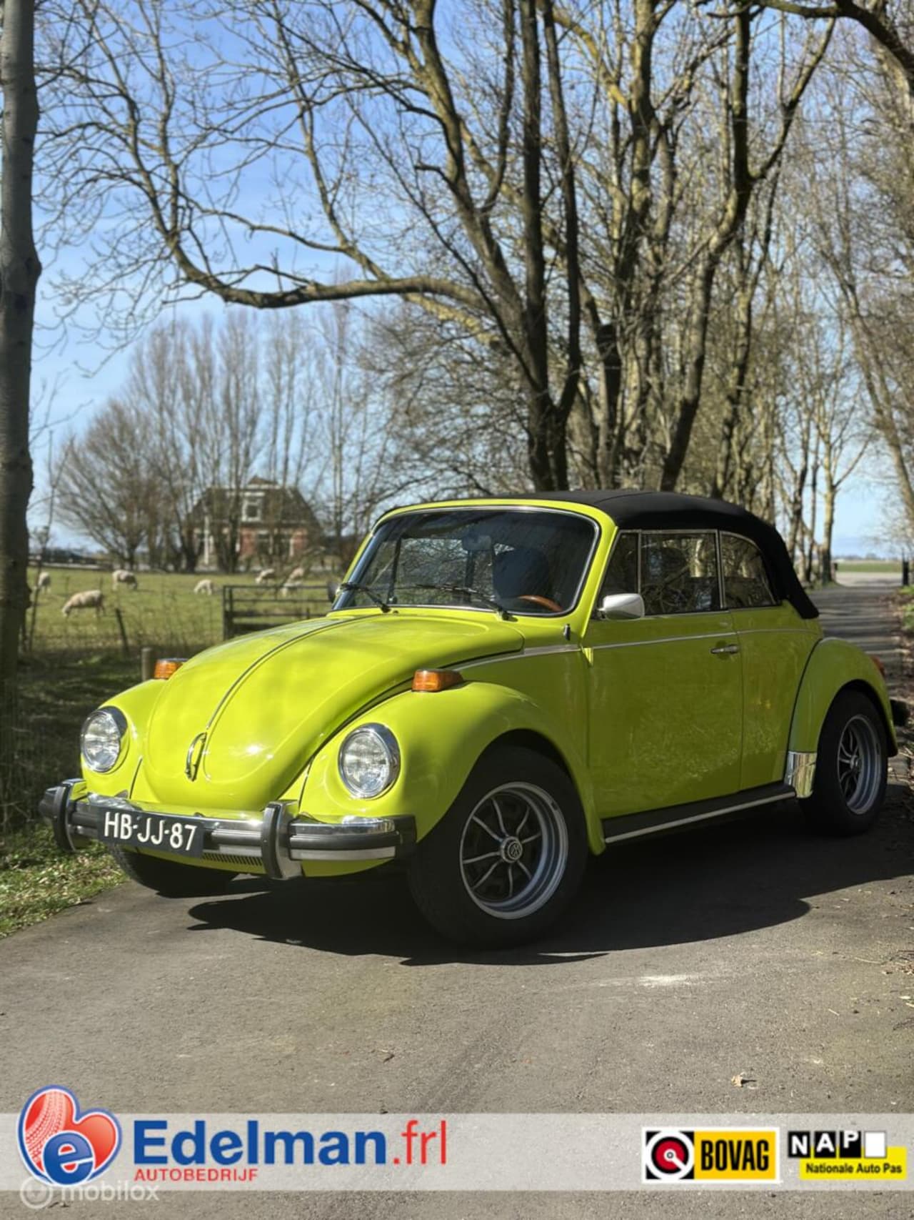 Volkswagen Kever Cabriolet - 1303 LS | Karmann | Certificaat - AutoWereld.nl