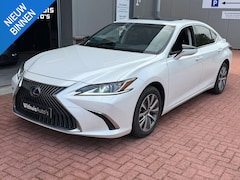 Lexus ES - 300h Business Line Netjes Dakraam Onderhouden