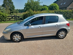 Peugeot 307 - 1.6-16V XS Automaat! Climat Control! Cruise Control! Airco! NW APK!