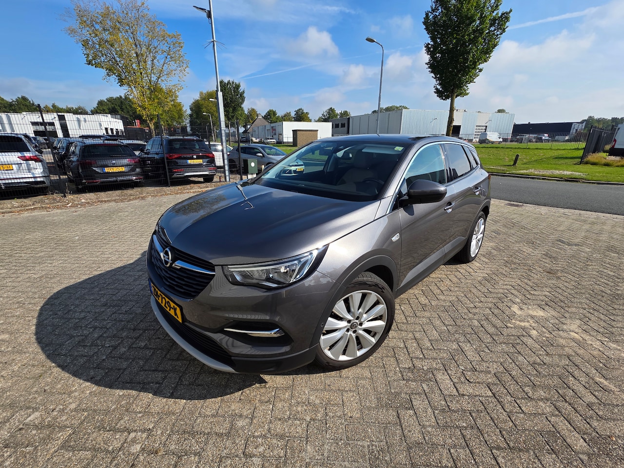 Opel Grandland X - 1.5 CDTi Business Executive - AutoWereld.nl