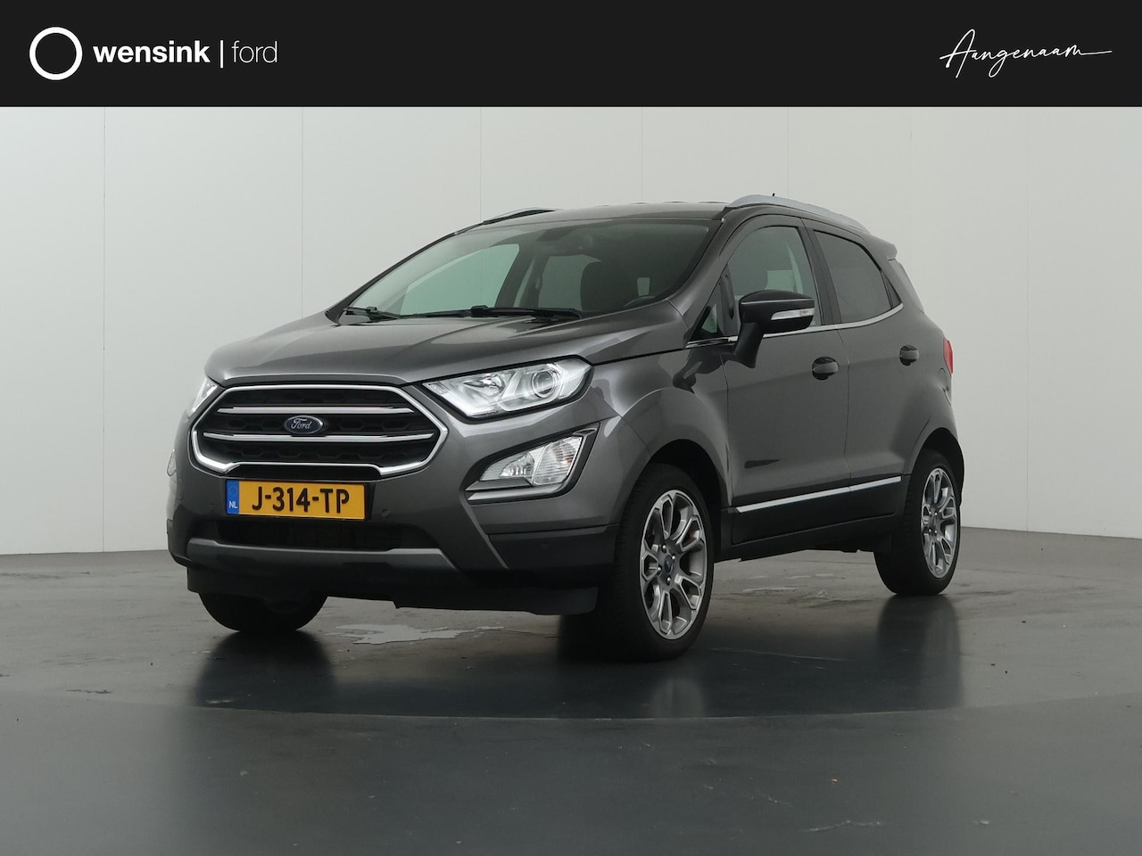 Ford EcoSport - 1.0 EcoBoost Titanium | Winterpakket | Parkeercamera | Navigatie | Climate Control | DAB | - AutoWereld.nl