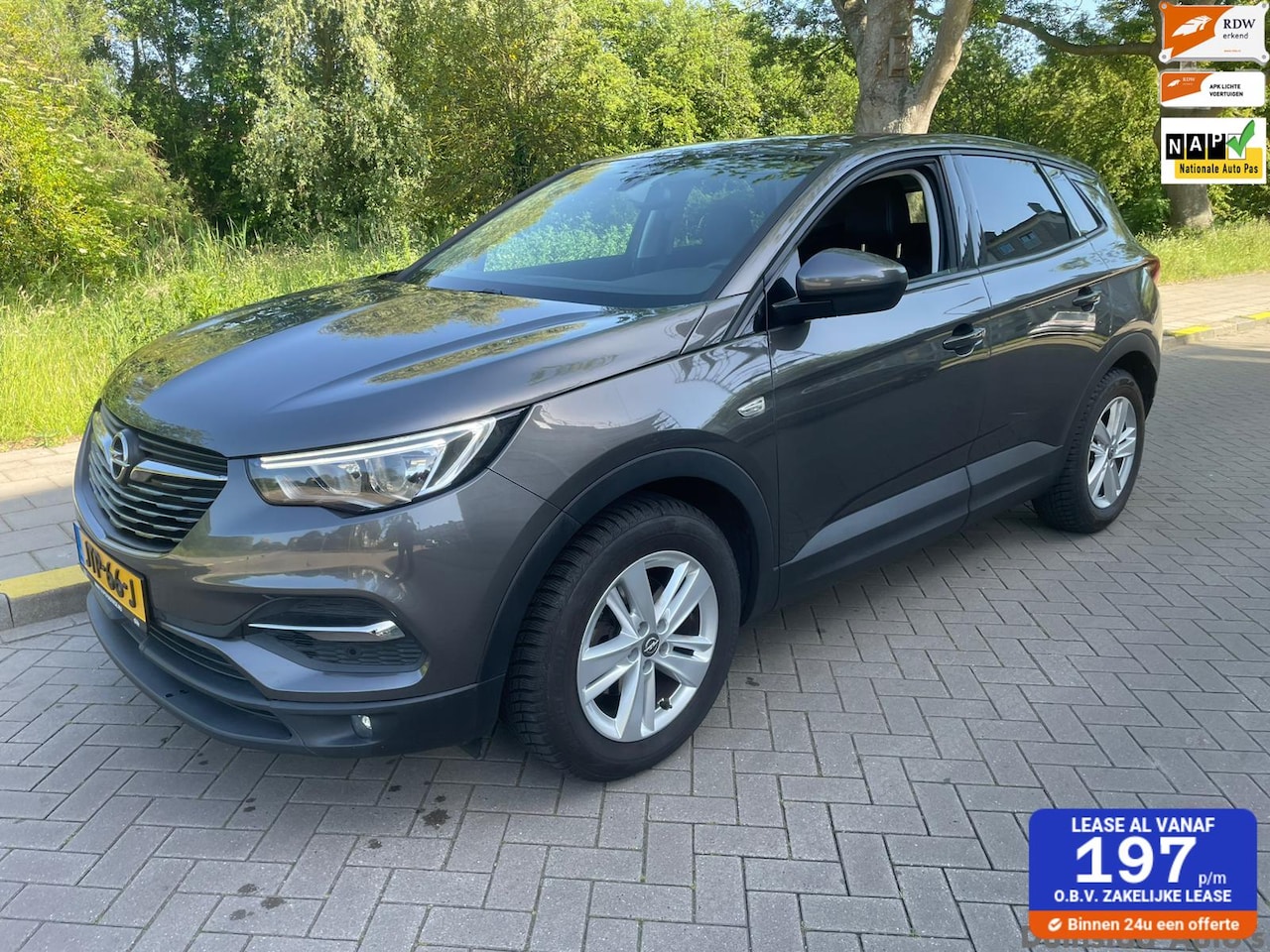 Opel Grandland X - 1.2 Turbo Business Executive Automaat Clima - AutoWereld.nl