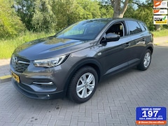 Opel Grandland X - 1.2 Turbo Business Executive Automaat Clima