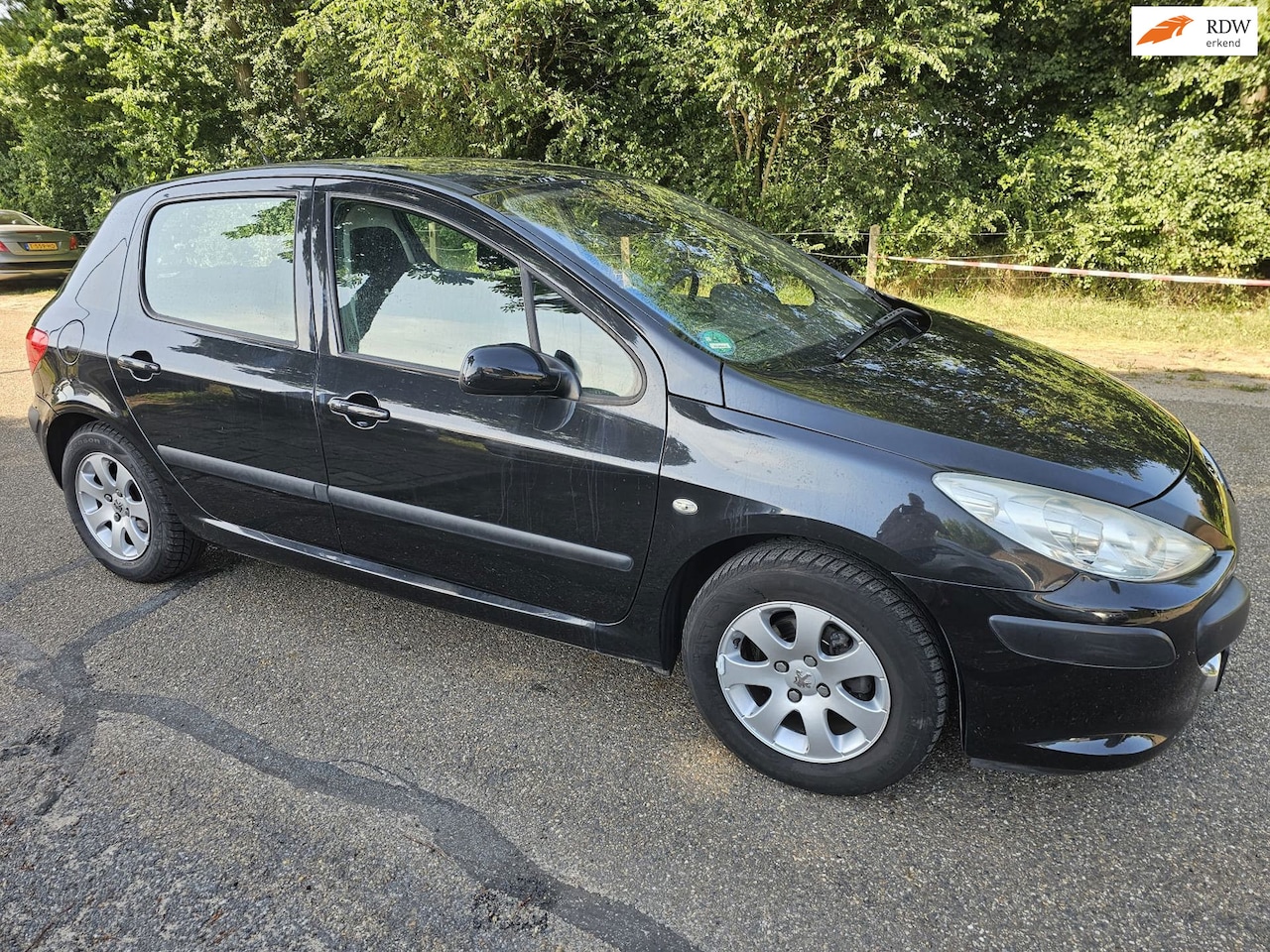 Peugeot 307 - 1.6-16V XS 1.6-16V XS - AutoWereld.nl