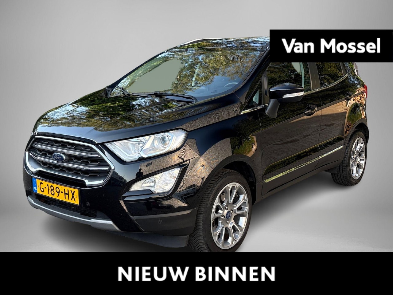 Ford EcoSport - 1.0 EcoBoost Titanium automaat| qruisecontrol | winterpack | achteruitrijcamera | apple ca - AutoWereld.nl