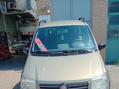 Fiat Panda - 1.2 Climbing 4x4