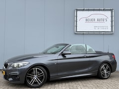 BMW 2-serie Cabrio - 220i High Executive Automaat M-Pakket/Camera
