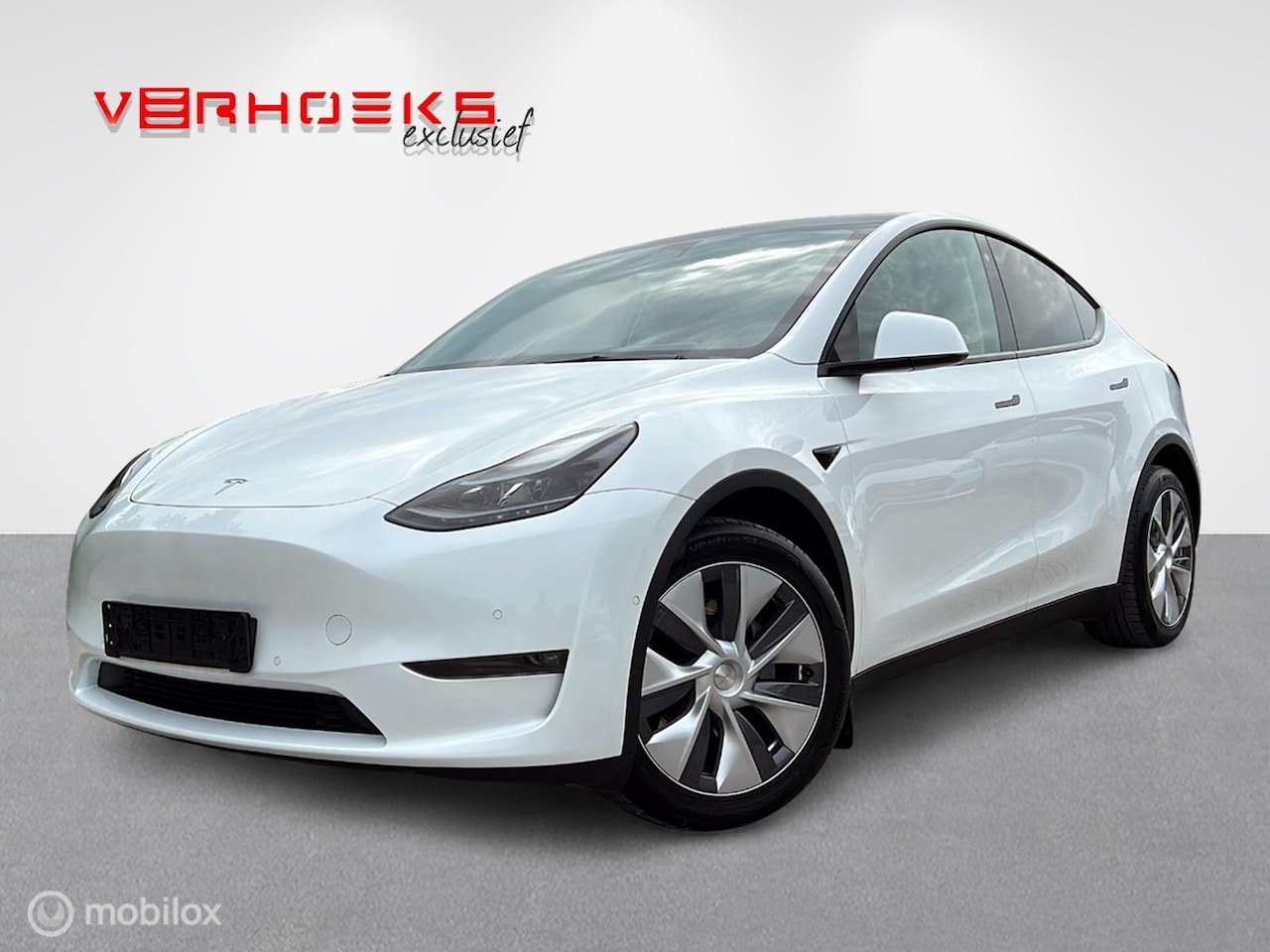 Tesla Model Y - Long Range Dual Motor BTW!! - AutoWereld.nl