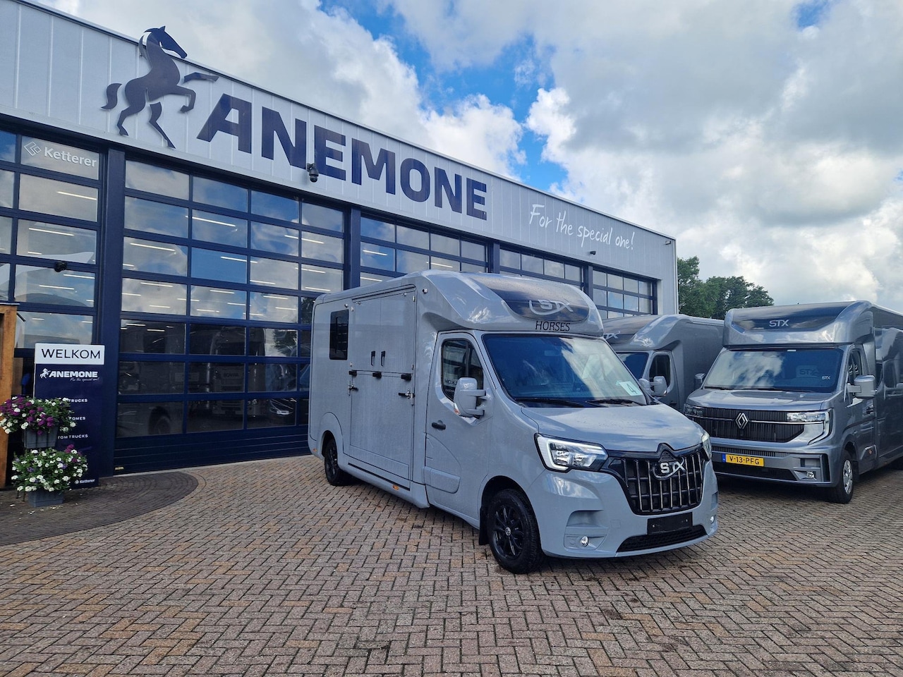 Renault Master Pro - STX S3 paardenwagen Pro-Safety hengsten uitvoering, id 4 - AutoWereld.nl