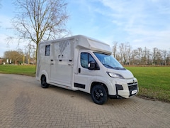 Opel Movano - AKX S3 nieuw paardenwagen Automaat Pro-safety hengsten uitvoering id:57