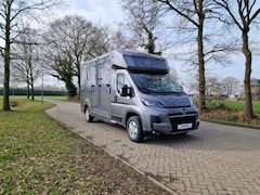 Opel Movano - AKX S3 nieuw paardenwagen Automaat Pro-safety hengsten uitvoering id:11
