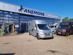 Opel Movano - AKX S3 paardenwagen hengsten uitvoering jong gebruikt enkel cabine (id:13)