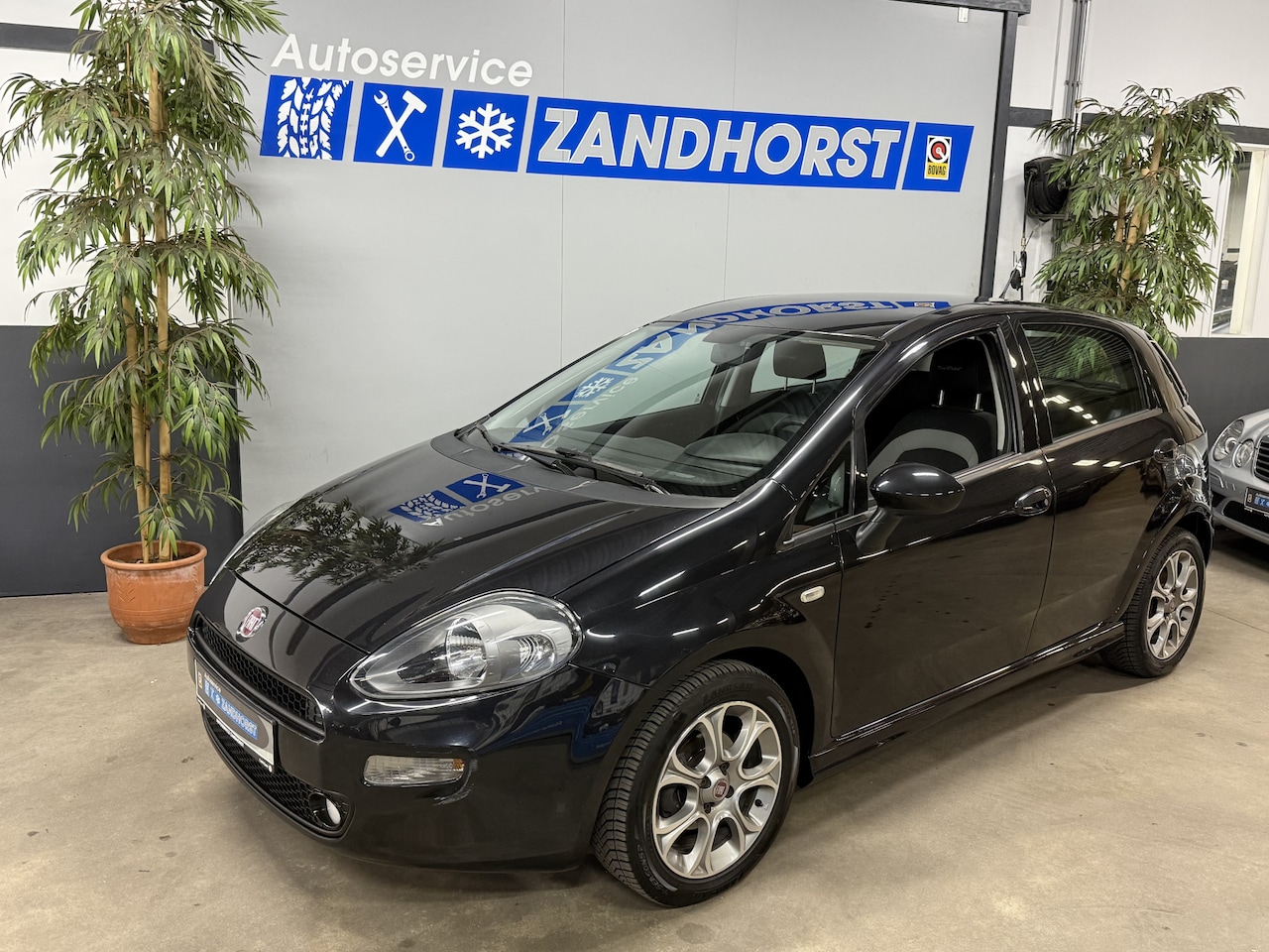Fiat Punto Evo - 0.9 TwinAir Easy // Airco // El. ramen // APK tot 06-11-2026!!! - AutoWereld.nl