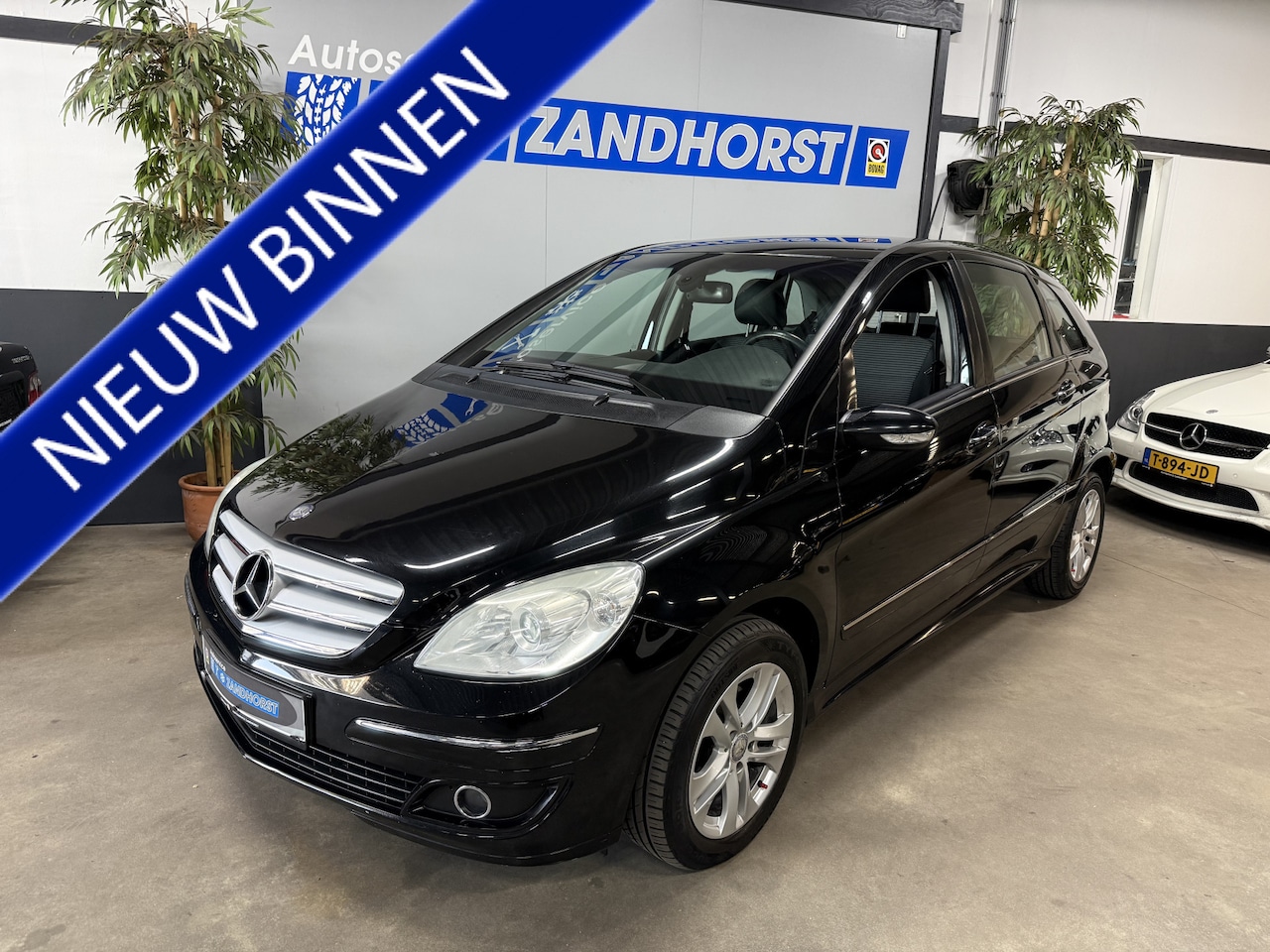 Mercedes-Benz B-klasse - 170 // Autom // Cruise // Trekhaak - AutoWereld.nl