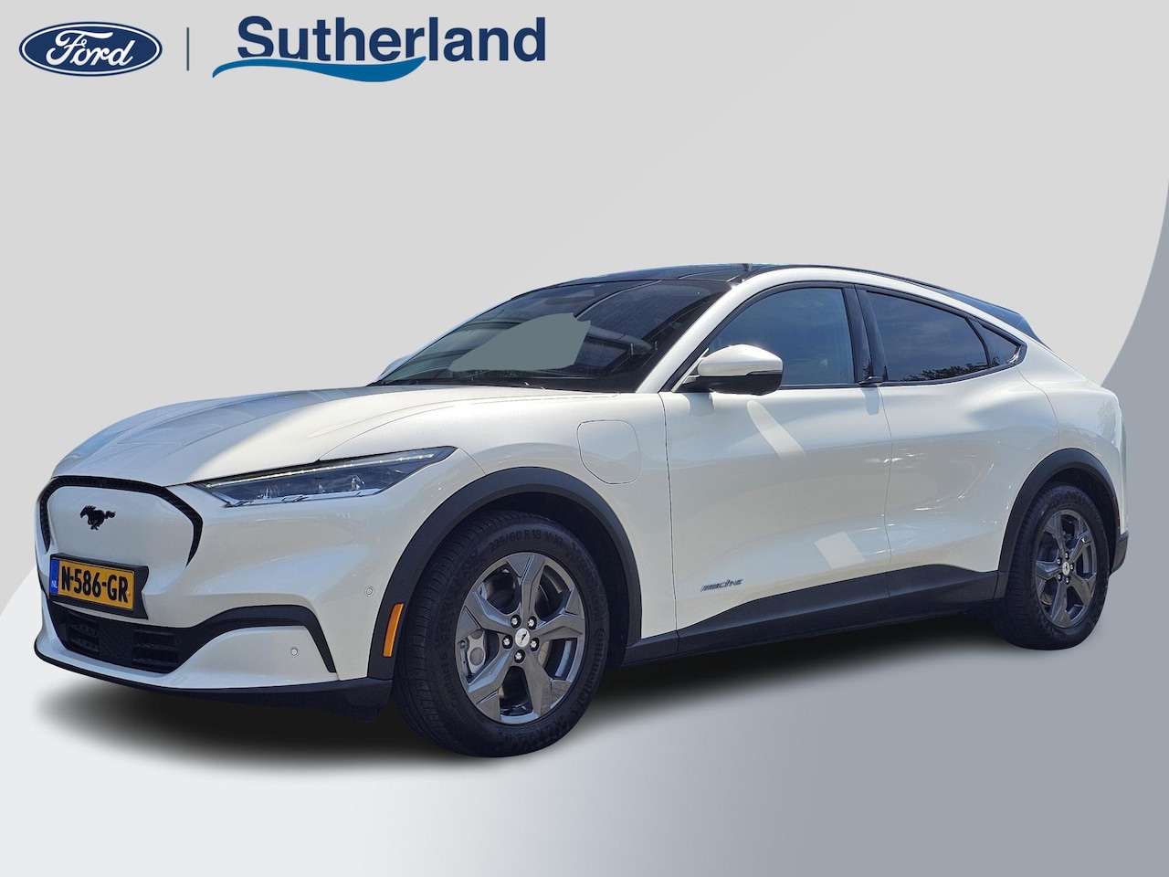 Ford Mustang Mach-E - RWD 75 kWh | 59.800 KM | SOH 93% | Lederen Interieur | Technology Pack | Panorama Dak | - AutoWereld.nl