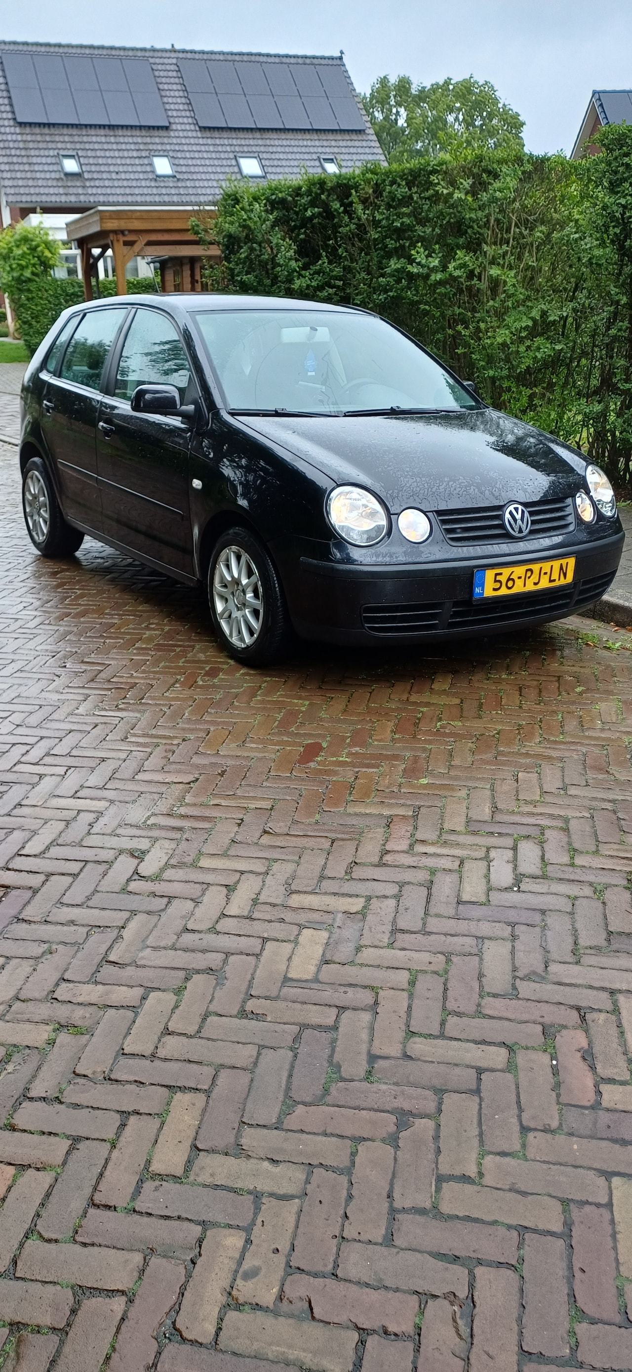 Volkswagen Polo - 1.4-16V Athene - AutoWereld.nl