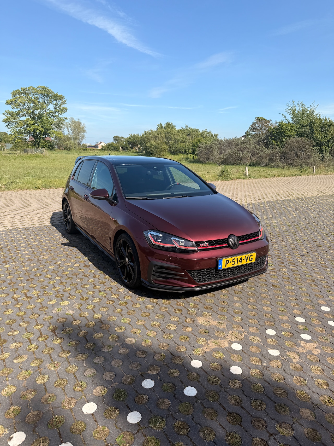 Volkswagen Golf - 2.0 TSI GTI Performance - AutoWereld.nl