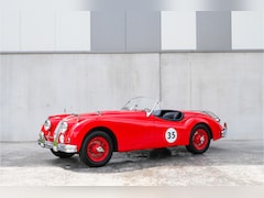 Jaguar XK - XK140 SE OTS M1166