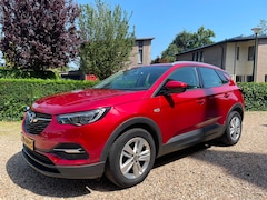 Opel Grandland X - 1.2 Turbo Business Executive