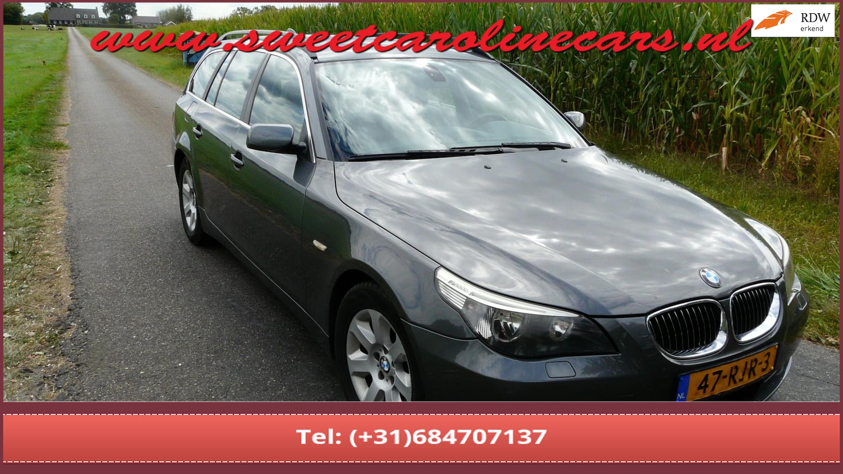 BMW 5-serie Touring - 525d Executive 525d Executive,Lmv's,Grootbeeld Navi,Cruise...,VOL!..EXPORT!! - AutoWereld.nl