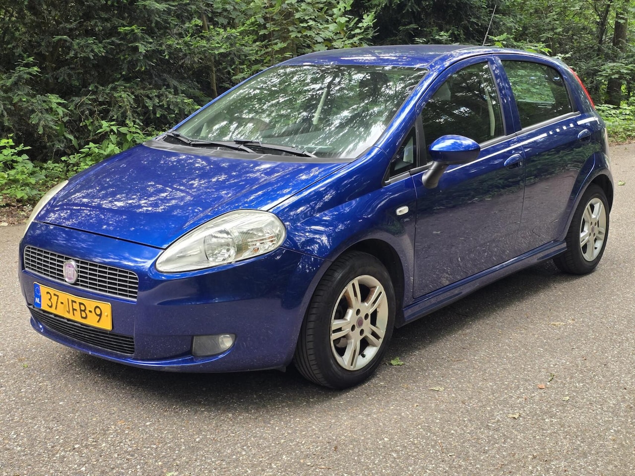 Fiat Punto - 1.2 Classic Edizione Cool 1.2 Classic Edizione Cool - AutoWereld.nl