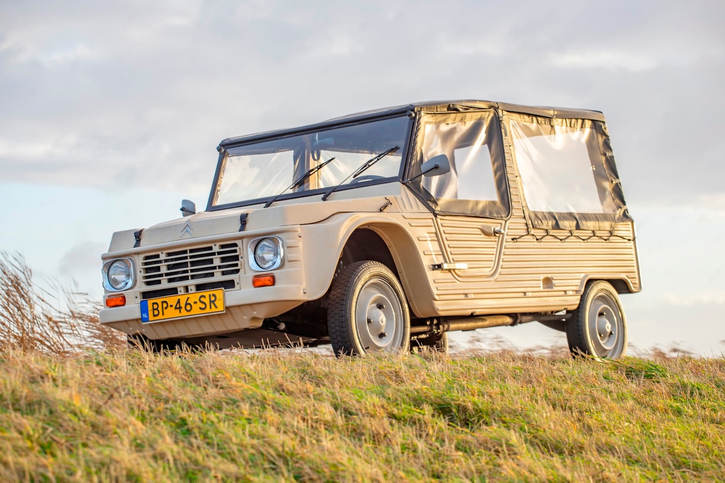 Citroën Méhari - 0.6 0.6 - AutoWereld.nl