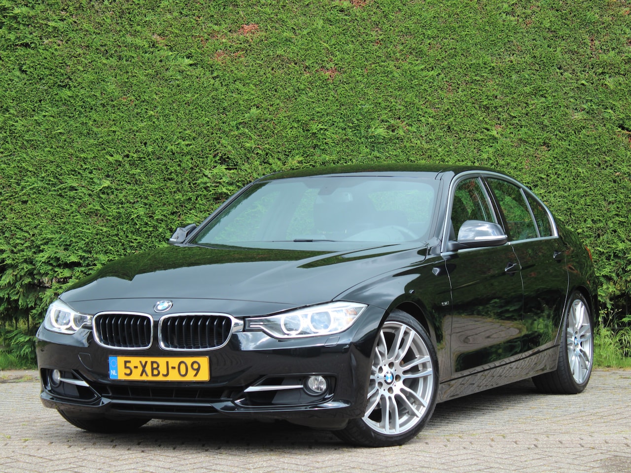 BMW 3-serie - 320i Executive | Sportline | 19 inch | Eibach verlaagd - AutoWereld.nl
