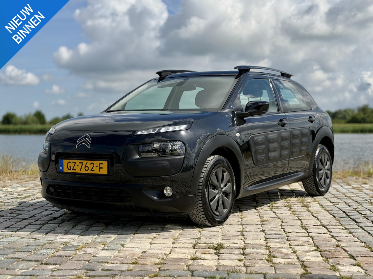 Citroën C4 Cactus - 1.6 BlueHDi Business|Camera|D-Riem Vervangen - AutoWereld.nl