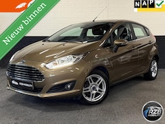 Ford Fiesta - 1.0 EcoBoost Titanium Automaat 5D Winter Pack