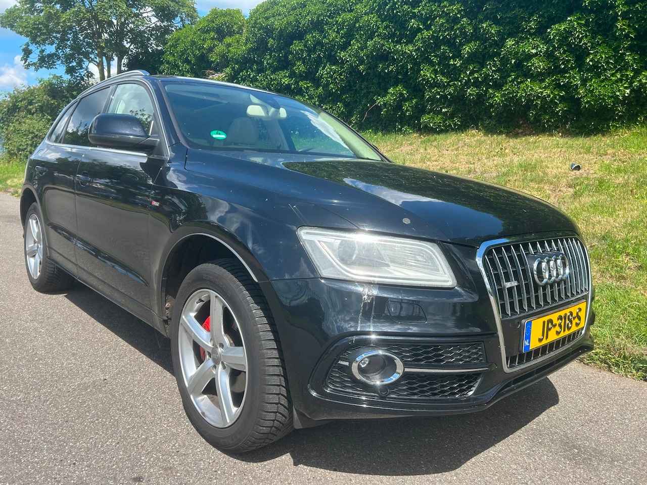 Audi Q5 - 2.0 TFSI quattro Pro Line S - Leder - Pano - Sportstoelen - Bang & Olufsen - AutoWereld.nl