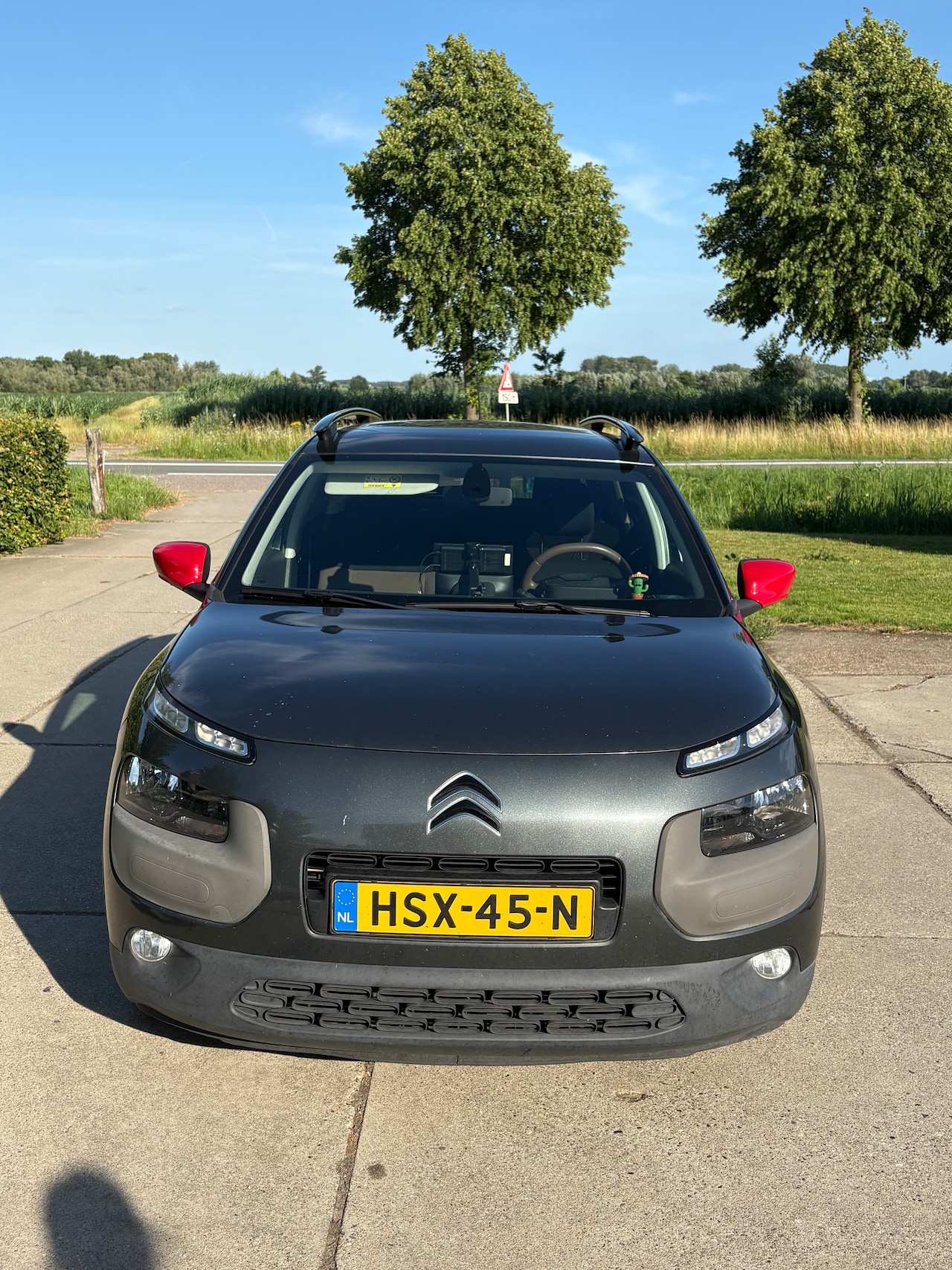 Citroën C4 Cactus - 1.2 PureTech Shine - AutoWereld.nl