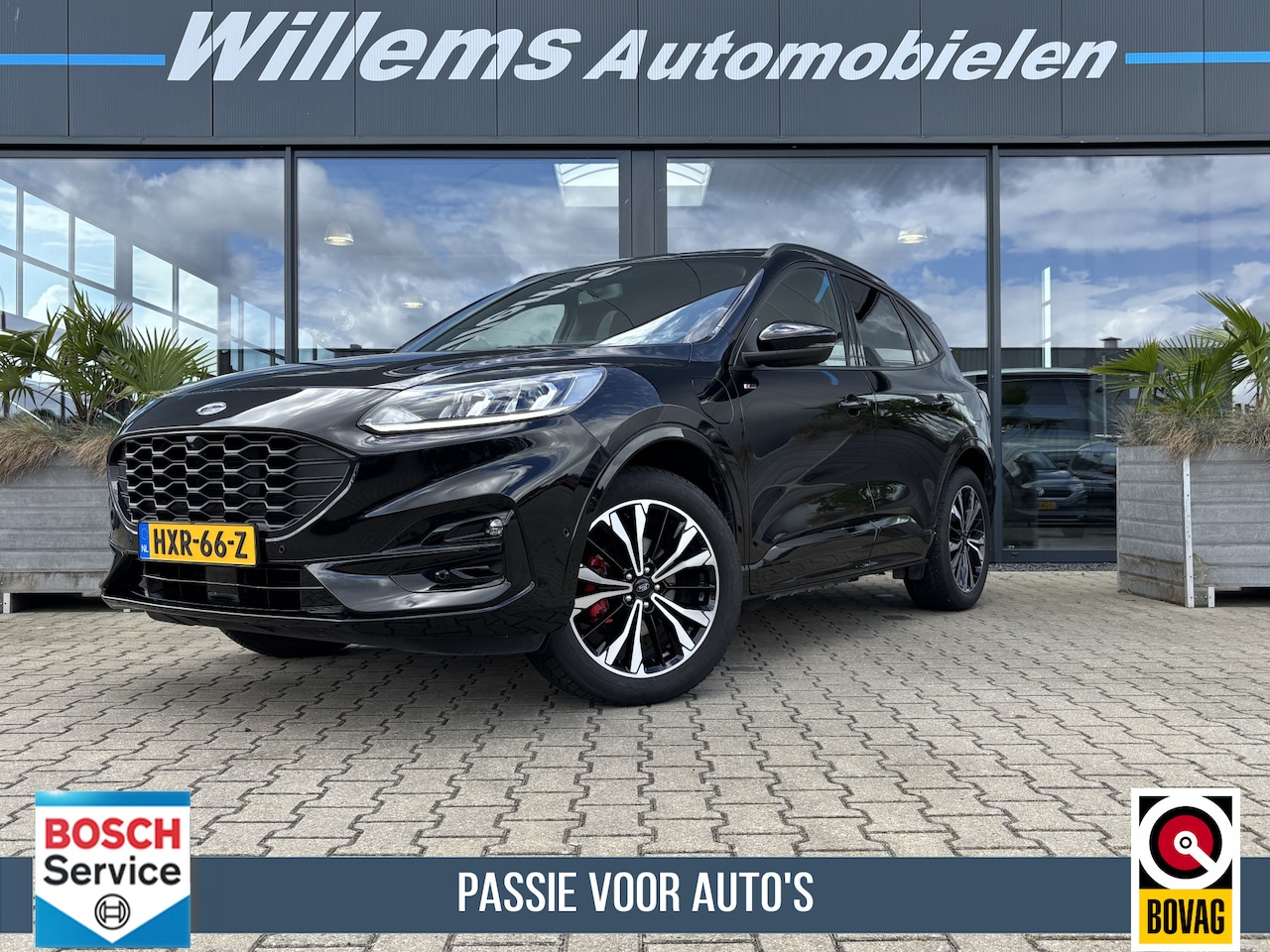 Ford Kuga - 2.5 PHEV ST-Line X Camera, Schuifkanteldak & Adaptive Cruise - AutoWereld.nl