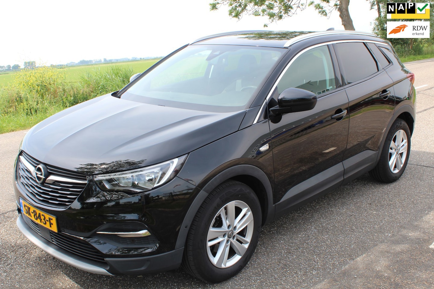 Opel Grandland X - 1.2 Turbo Business Executive // AUTOMAAT // - AutoWereld.nl