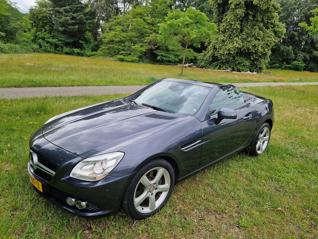 Mercedes-Benz SLK-klasse - 250 - AutoWereld.nl